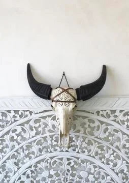 A wild buffalo skull with a pattern design on a white wall Stock Photos