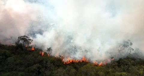 Wild Bush Fire Australia Aerial Vidéo 240773553