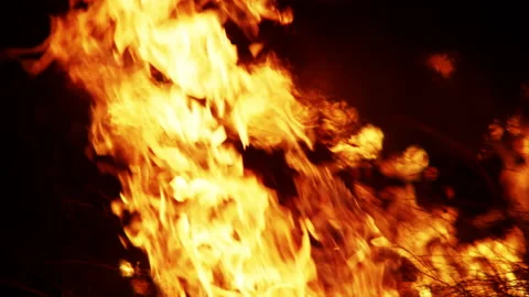 Wild bush fire at night Stock Footage 187083249