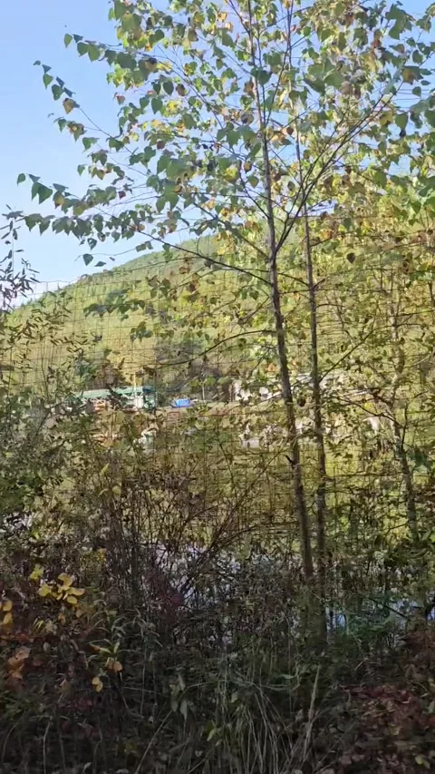 Wild-camping-nature Stock Footage 339637016