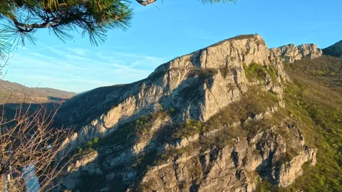 Wild Canyon Panorama Framed by Pine Branches - Nature Serenity Background 4K Video stock 332613996