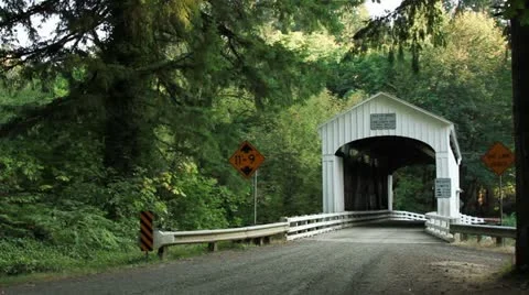 Wild Cat Bridge Oregon Video stock 12174939