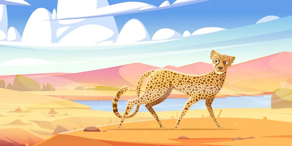Wild cat, cheetah walk in savannah Stock Illustration