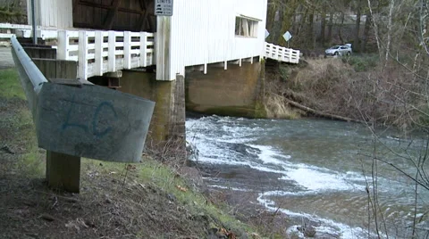Wild Cat Covered Bridge 動画素材 52706028