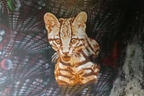 Wild cat Graffiti Stock Photos