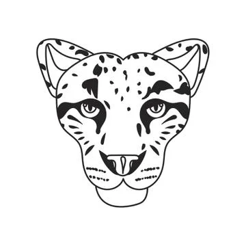 Wild cat, irbis, leopard, snow bars in vector Stock Illustration
