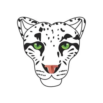 Wild cat, irbis, leopard, snow bars in vector Stock Illustration