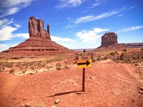 Wild Cat Trail Stock Photos