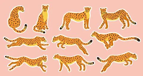 Wild Cats Icon Set Vector Cartoon Illustration with a Cut-out Fields Stock Illustration