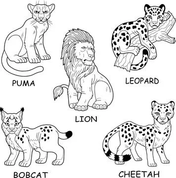 Wild cats vector images Stock Illustration