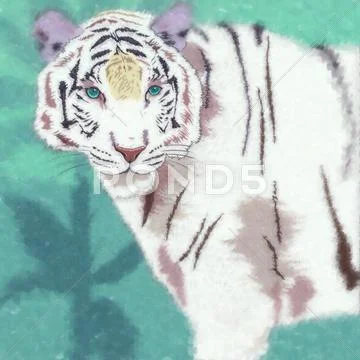 Wild Cats. White Tiger Stock Illustration
