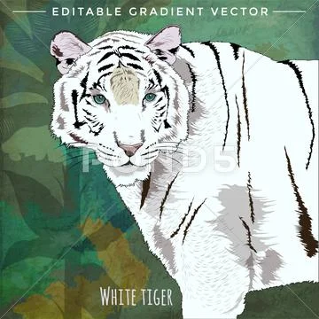 Wild Cats. White Tiger Stock Illustration