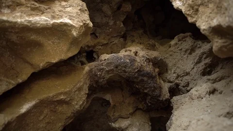 Wild cave Stock Footage 76990349