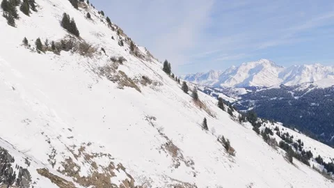 Wild chamois traverse a steep, snow-covered mountain slope dotted with evergreen Stock Footage 346668969