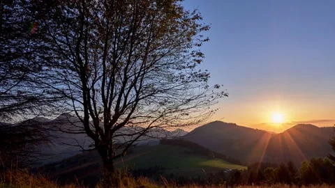 Wild cherry tree in the last rays of the sunset. in spring Stock-Footage 189346953
