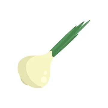 Wild chive icon flat vector. Chinese onion Illustrazione stock