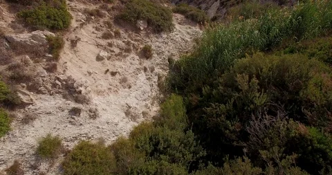 Wild cliff Stock Footage 91040270