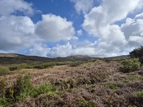 Wild coastal hillside under dramatic cloudy sky Stock Photos