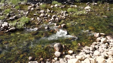 Wild Cold River in a Mountains Stock Footage 242024750