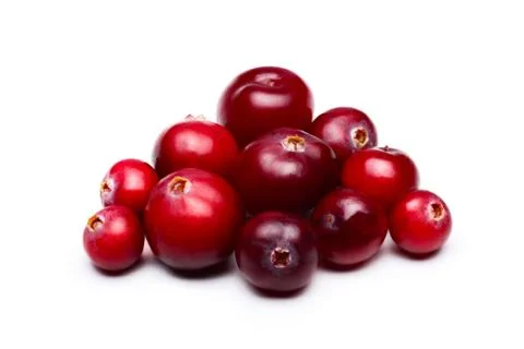 WIld cranberries Stock Photos