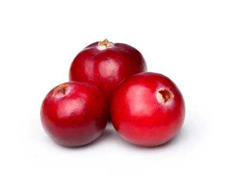 WIld cranberry Stock Photos