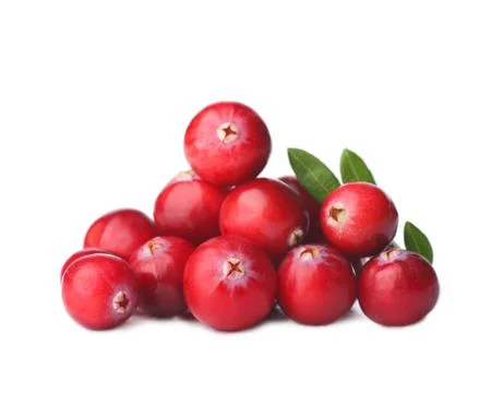 WIld cranberry Stock Photos