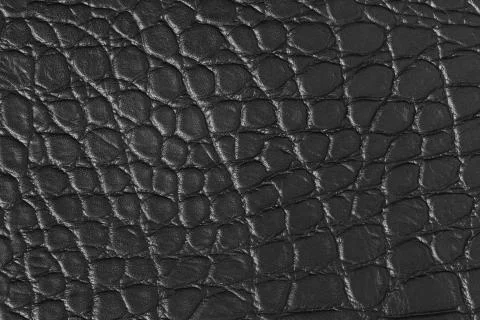 Wild crocodile leather texture. Stock Photos