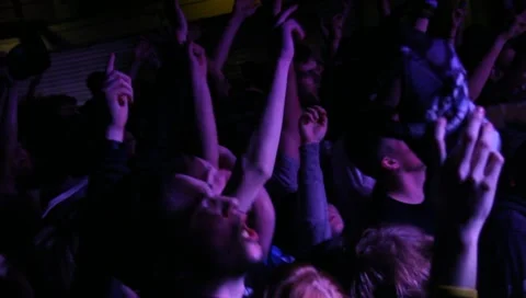 Wild crowd 動画素材 10709562