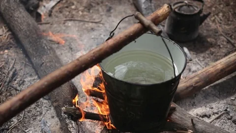 Wild cuisine 動画素材 75882790