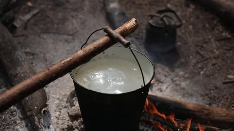 Wild cuisine 動画素材 75882807