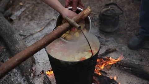 Wild cuisine 動画素材 75882853