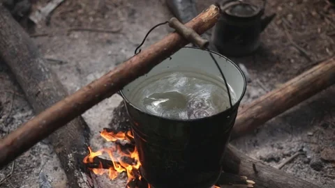 Wild cuisine 動画素材 75882894