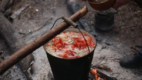 Wild cuisine 動画素材 75882895