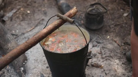 Wild cuisine 動画素材 75882913