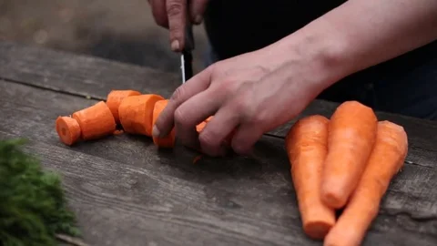 Wild cuisine 動画素材 75882929