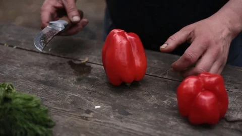 Wild cuisine 動画素材 75882949