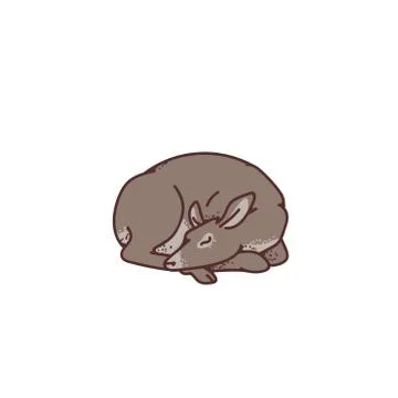 Wild deer female sleeping vector outline sketch illustration isolated on white Stock Illustration