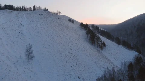Wild deer on the mountain. Stock Footage 102523378