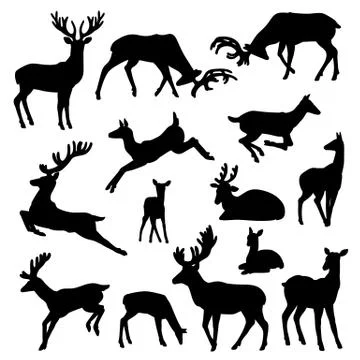 Wild deer silhouette vector set males and females with babies in different poses Stock Illustration