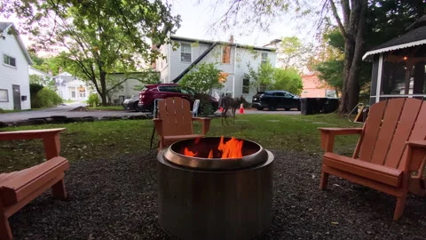 Wild deer wanders past firepit in chairs in rural backwoods environment Video stock 220569060