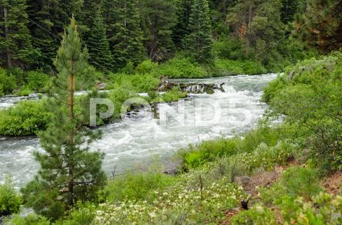 Wild Deschutes River Stock Photos