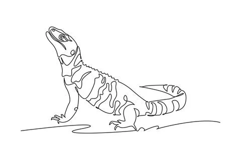 Wild desert lizard or chuckwalla basking with it head raised upward Ilustração Stock