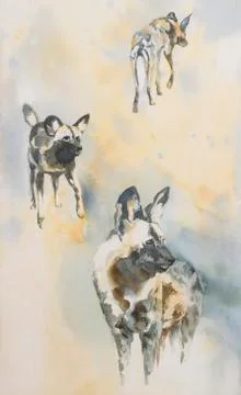 Wild Dogs Stock Illustration