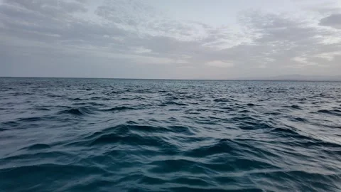 Wild Dolphins Surfacing in Red Sea near Hurghada, Egypt Video stock 342593569