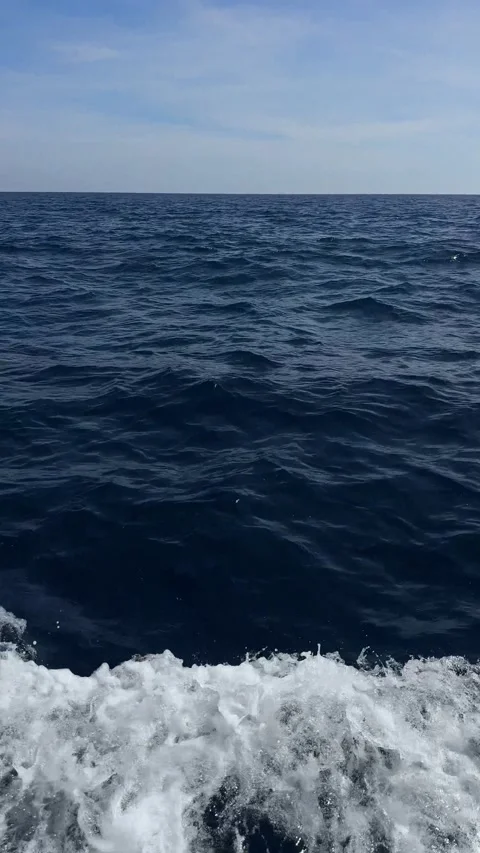 Wild Dolphins Swimming and Surfacing Next to Boat in Blue Ocean Stock Footage 342053023