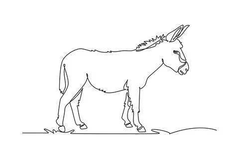 Wild donkey standing peacefully in side profile, its upright ears Stock Illustration