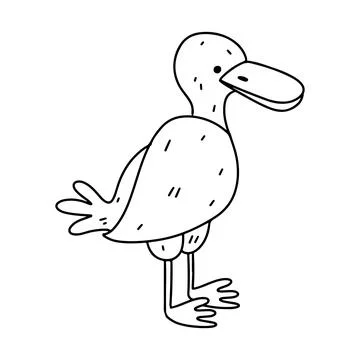Wild duck. Hand drawn doodle style. Vector illustration isolated on white. Co Stock Illustration