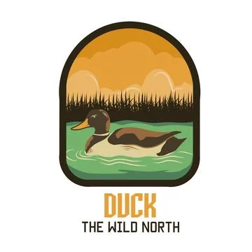 The Wild Duck Illustrazione stock