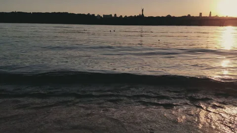 Wild ducks Stock Footage 132360687