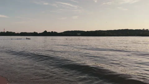 Wild ducks Stock Footage 132360876